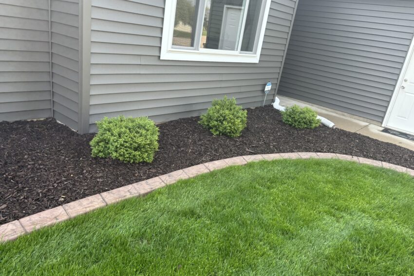 the Lawn people land scaping
