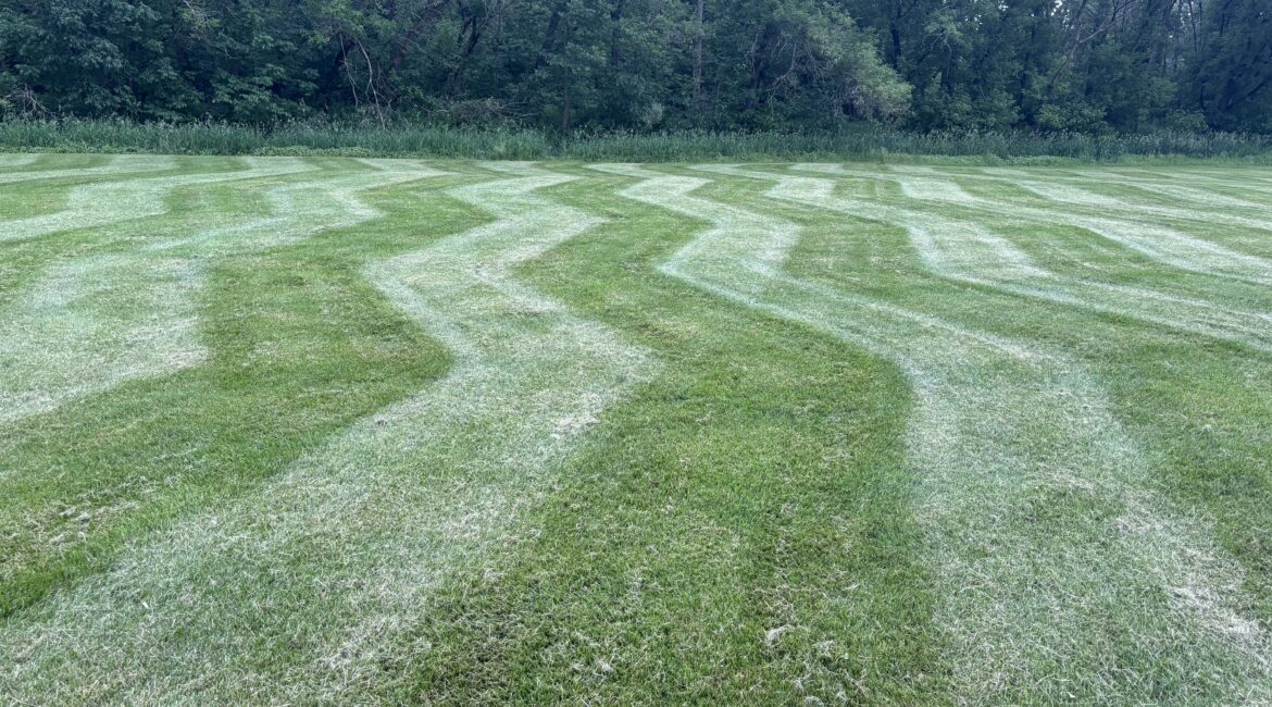 Lawn Care 11 Lawn Care Greenville WI
