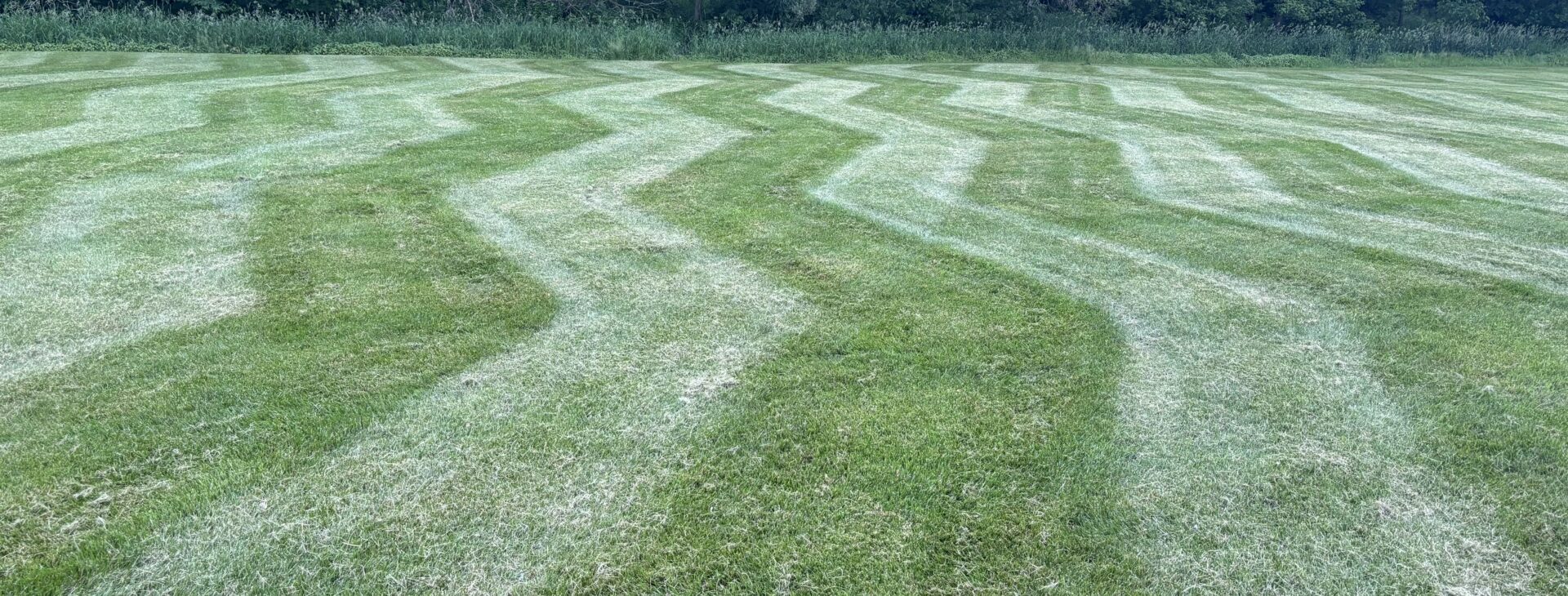 Lawn Care Greenville WI