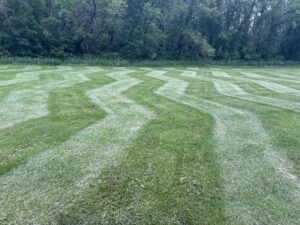 Lawn Care Greenville WI