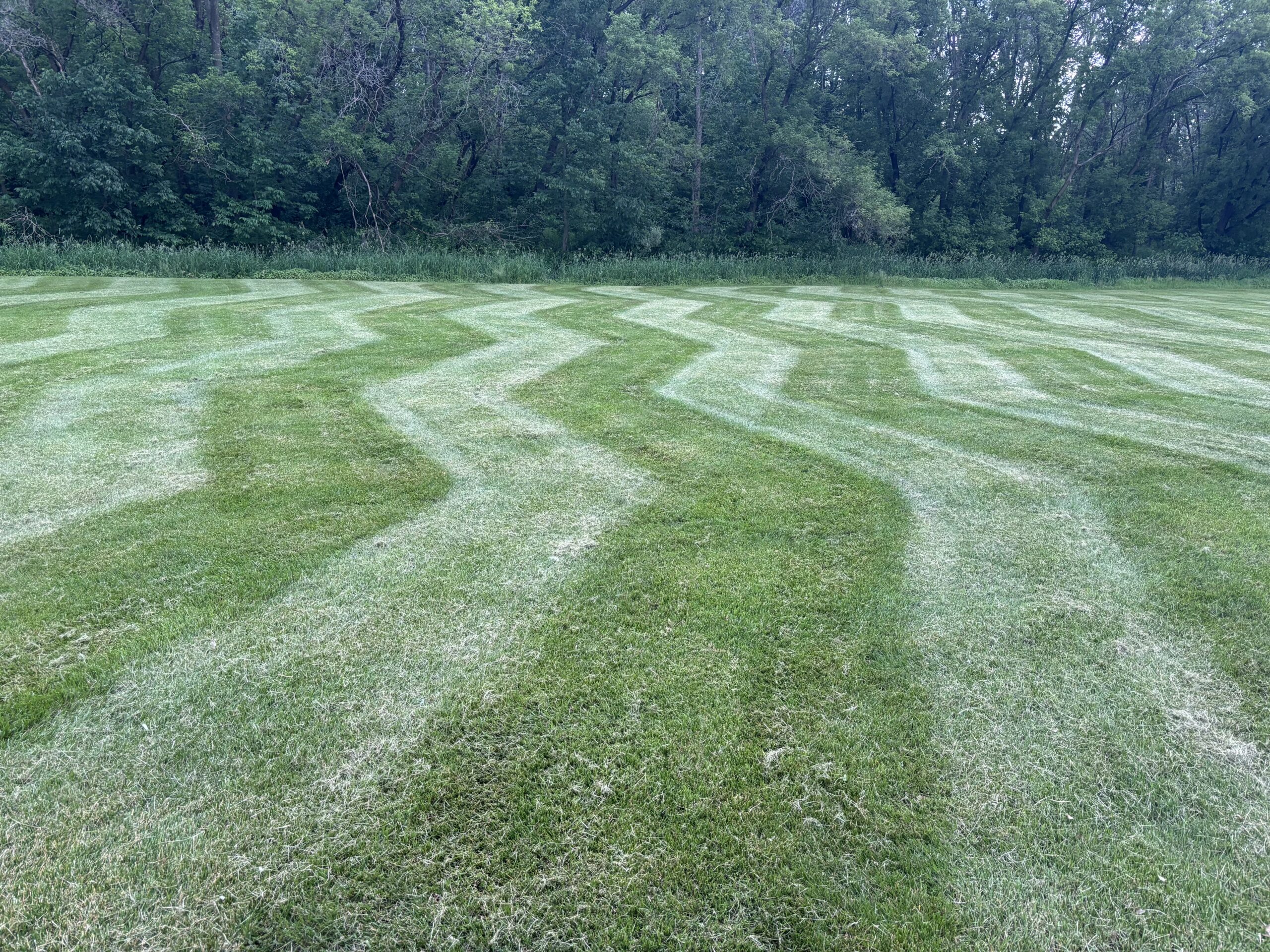 Lawn Care Greenville WI