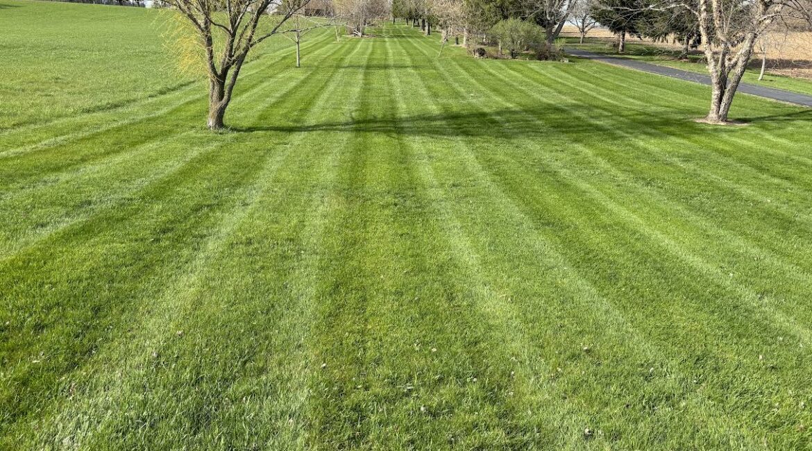 Lawn Care 10 Lawn care 2 1