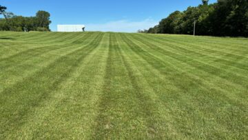 Landscaping Tips & Professional Services That Keep Your Property Looking Its Best