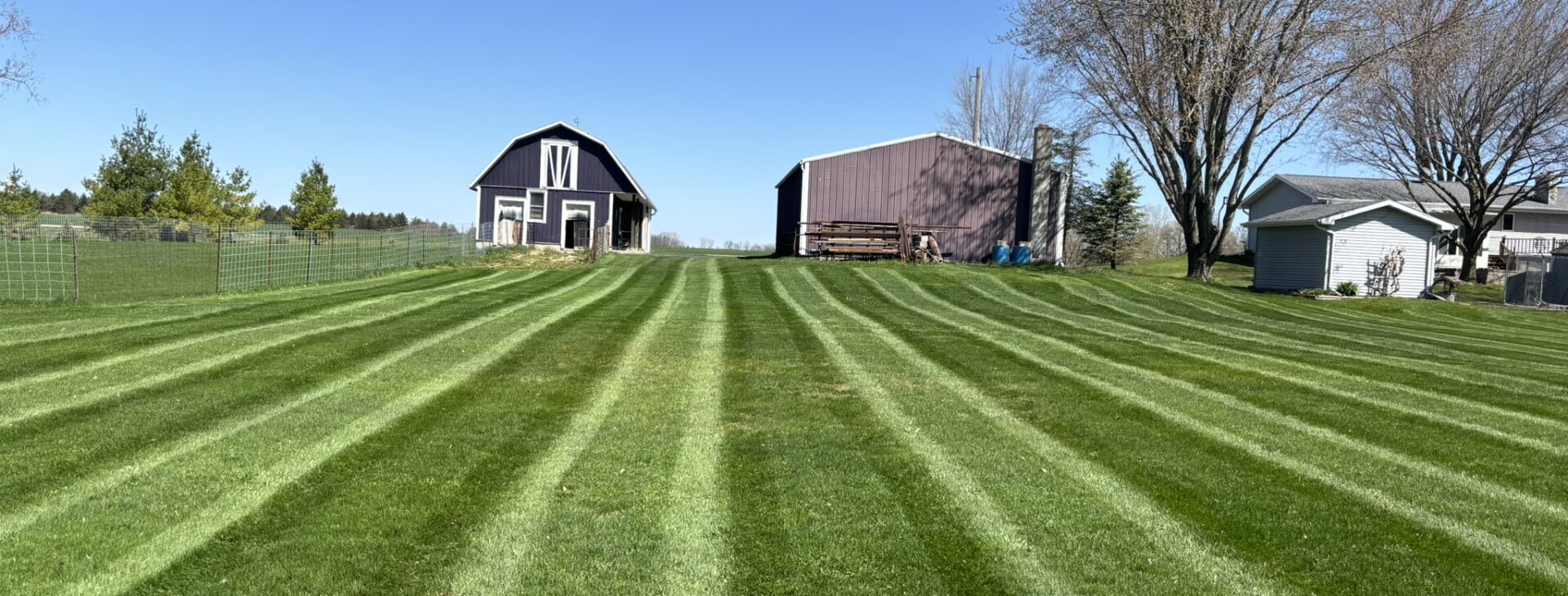 Lawn care, Lawn mowing