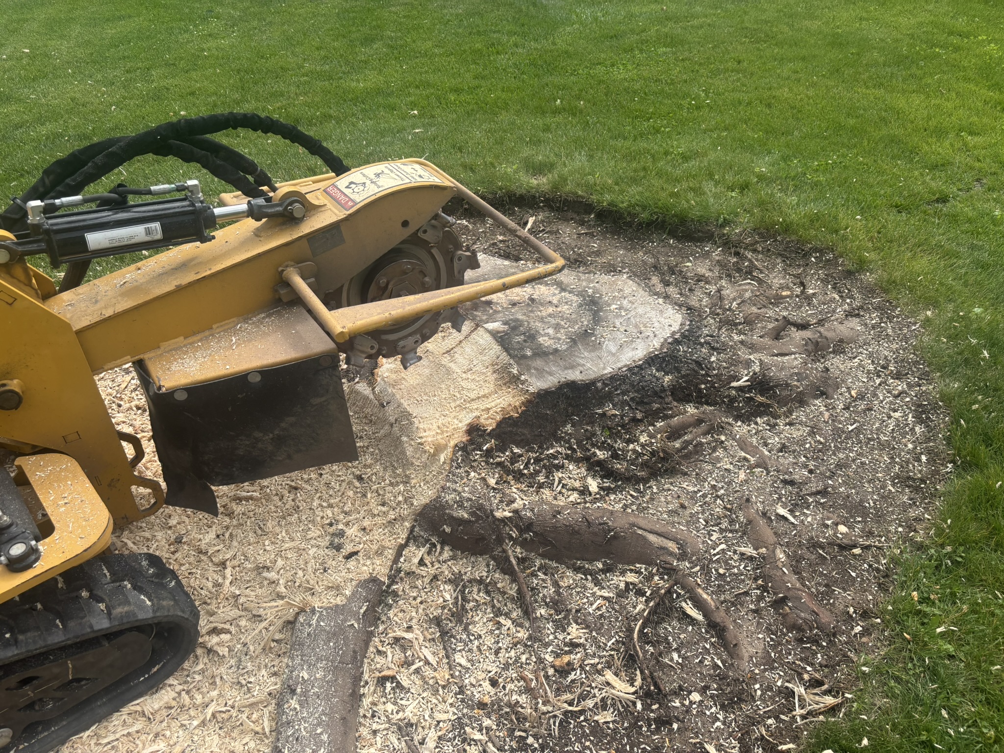 Stump Grinding Appleton