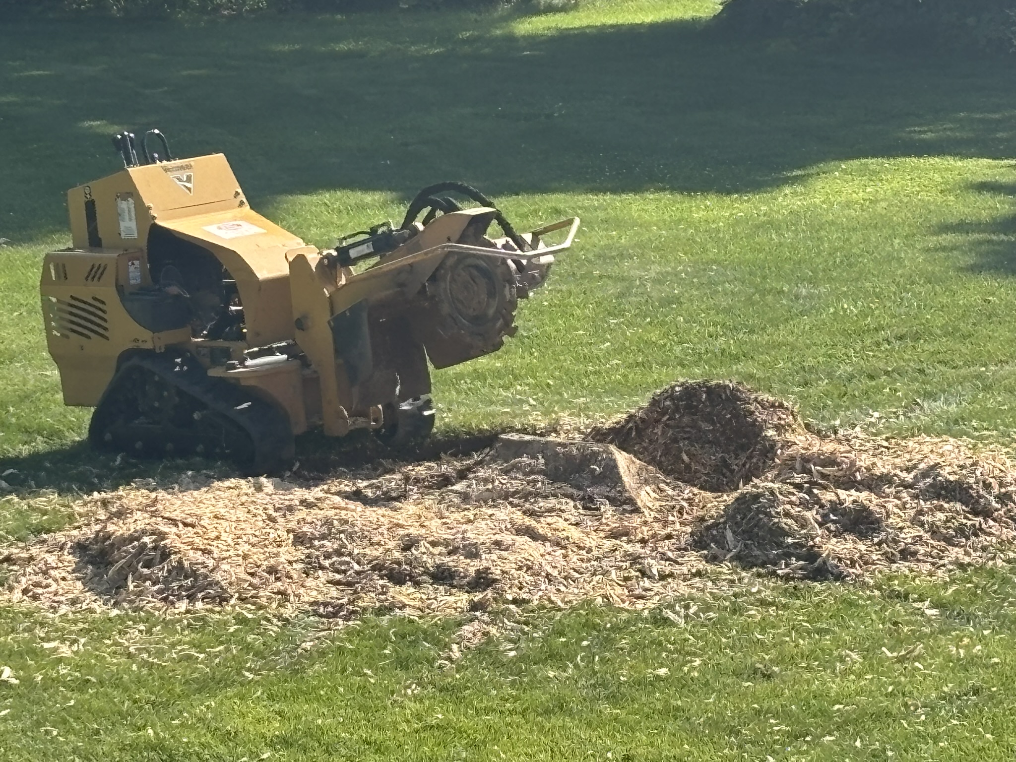 Stump Grinding