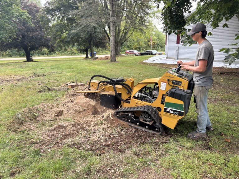 Stump Grinding