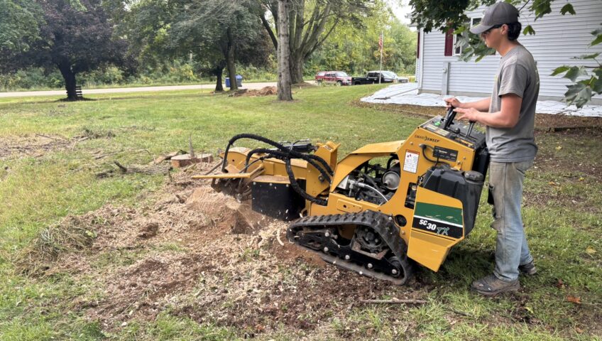 Stump Grinding