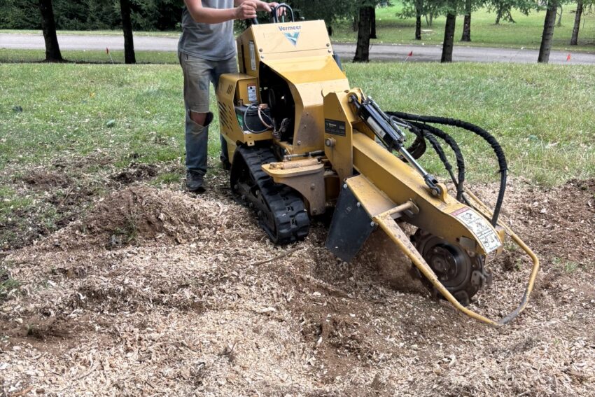 Stump Grinding