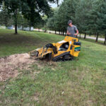 Stump grinding