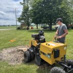 Stump grinding