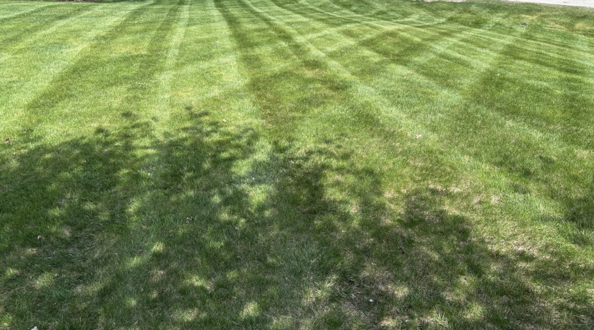 Lawn Care 12 IMG 4166