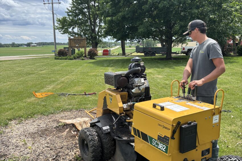 Stump Grinding
